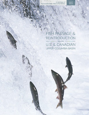 fish_passage