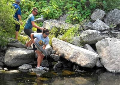 Phase 2 Implementation Plan (P2IP): Testing Feasibility of Reintroduced Salmon in the Upper Columbia River Basin